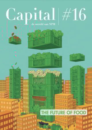 #16-NL