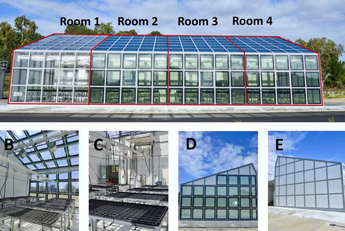 Transparent solar cells reduce energy and water consumption of greenhouses