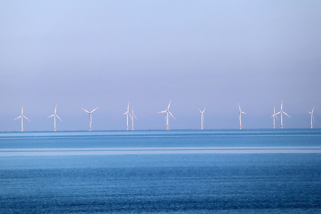 Half of electricity production in 2024 from renewable sources