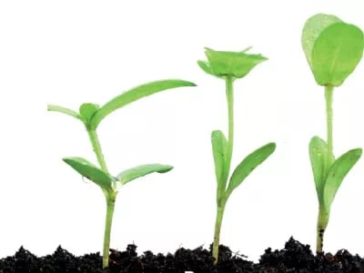 [Review] ‘Family-owned companies should take a more strategic approach to succession’ | NPM Capital