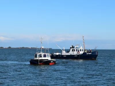 Hoe Dieseko geluidsarm funderen op zee mogelijk maakt | NPM Capital