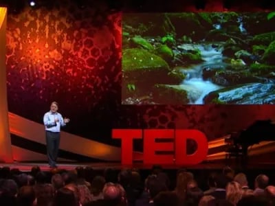 What businesses can learn from the human immune system | NPM Capital