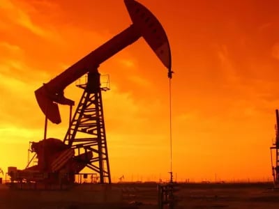 Does resource scarcity pose a real threat – and, if so, what are the options? | NPM Capital