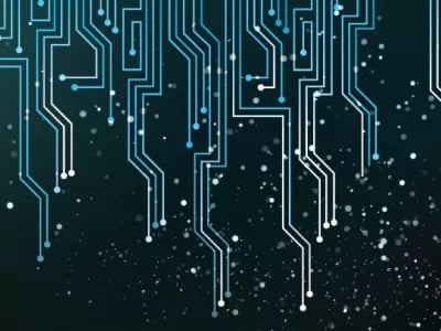 Dutch technological infrastructure is second only to Denmark’s | NPM Capital