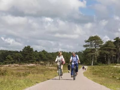 Fietsenwinkel.nl profiteert van groeiende populariteit e-bike | NPM Capital