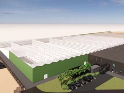 Kubo to build state-of-the-art greenhouse | NPM Capital