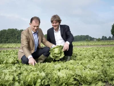 HAK neemt groentespecialist Peter van Halder over en stapt nu ook in koelverse groenten | NPM Capital