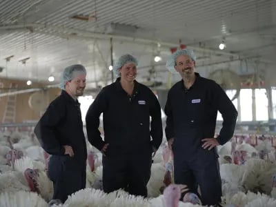 Hendrix Genetics Concludes Coolen Turkey Hatchery Acquisition | NPM Capital