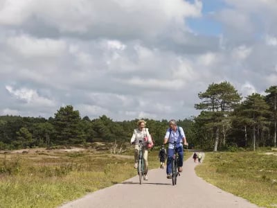 Op e-bike naar werk nog in kinderschoenen maar aan vooravond van serieuze explosie | NPM Capital