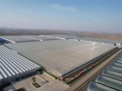 KUBO provides 7.8 ha Ultra-Clima greenhouse to Haoyu group in China | NPM Capital