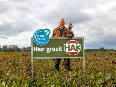Hak continues steadily with its On the way to PlanetProof agenda with the certification of red beets and kale | NPM Capital