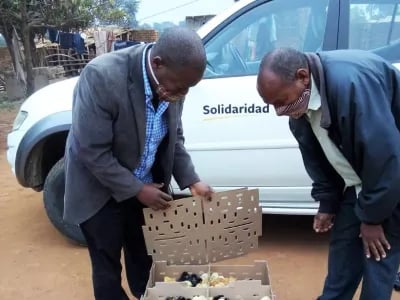 Hendrix Genetics en Solidaridad werken samen bij introductie duurzaam pluimvee in Afrika | NPM Capital