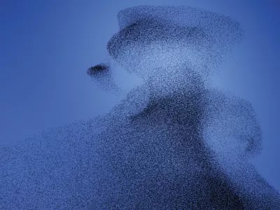 The power of swarm intelligence | NPM Capital