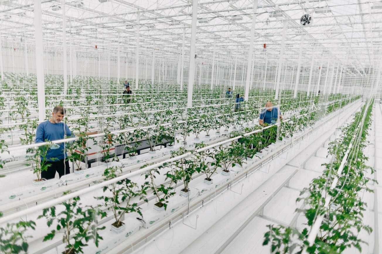 KUBO builds second sustainable greenhouse in Sweden