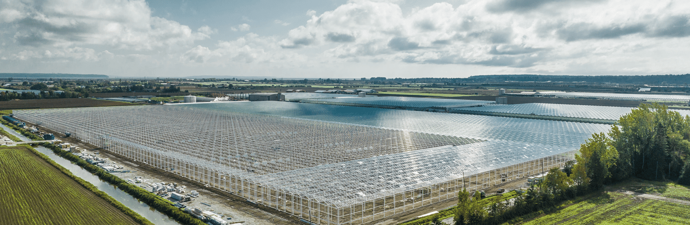 Kubo partners with Windset Farms to pave the way for sustainable greenhouse expansion